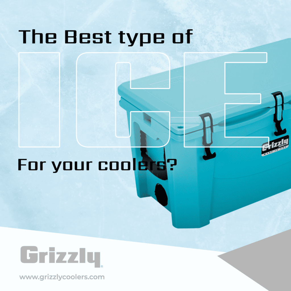 types of ice for your cooler