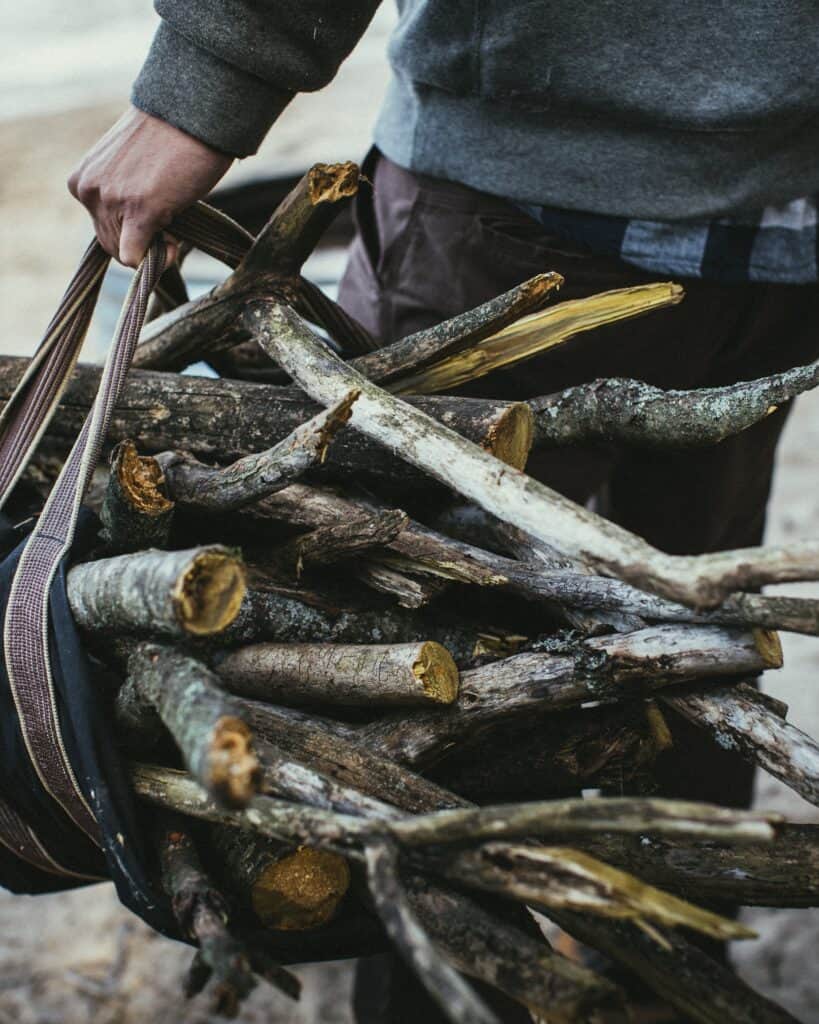 Collecting firewood for campfire cooking