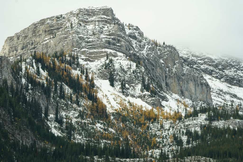 wilderness survival in difficult terrain