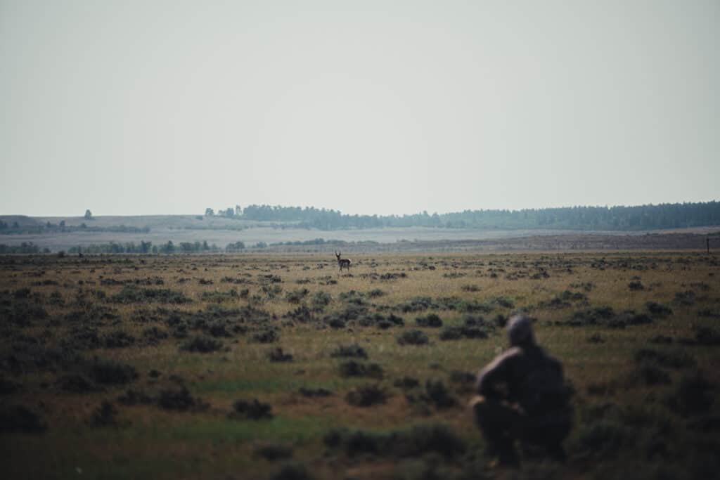 Antelope Hunting