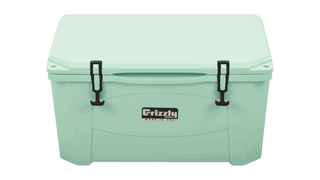 Grizzly 60