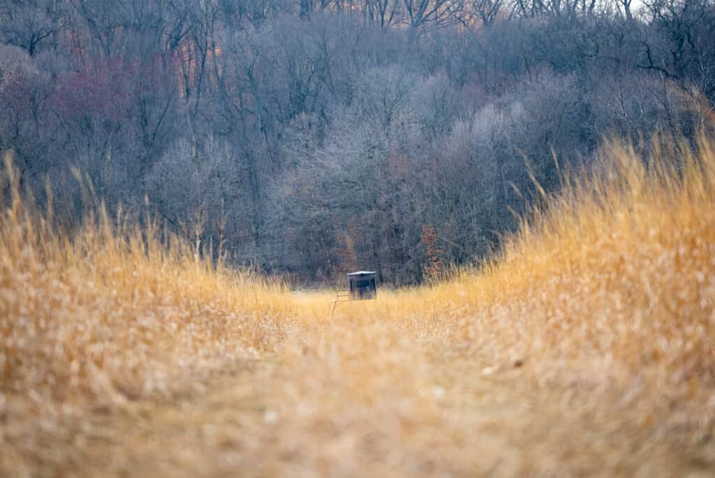 grizzly hunting blind off in distance in a dried out field