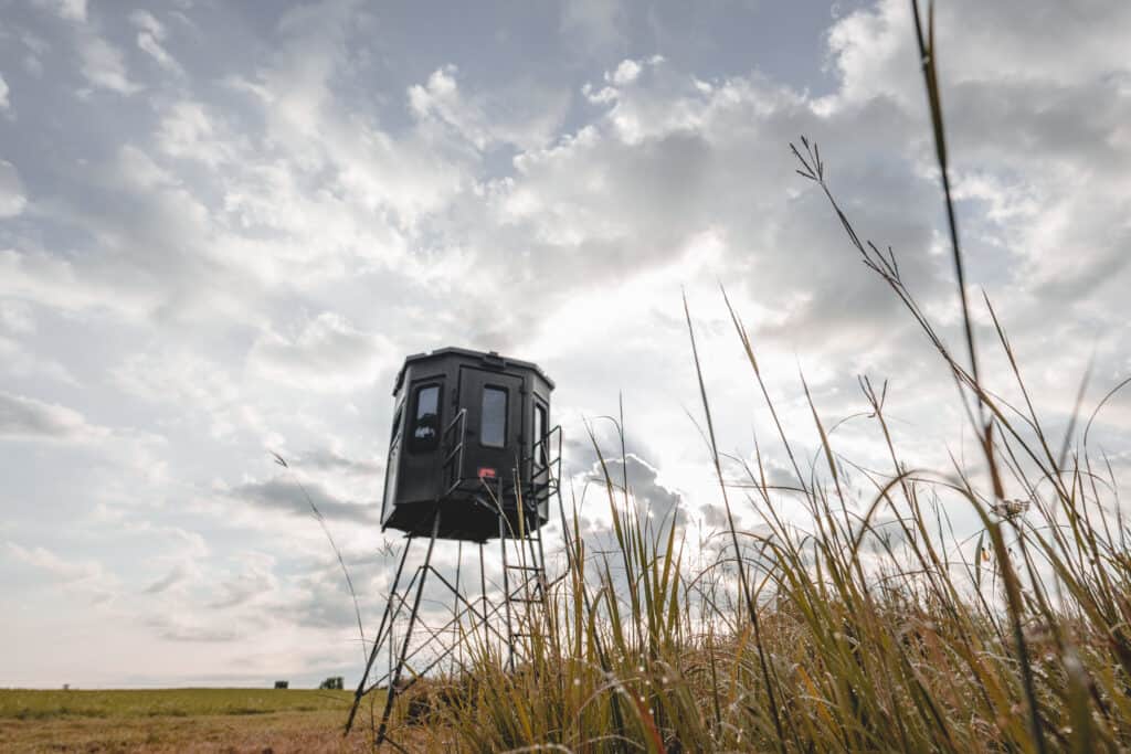 Hunting blind elevated on custom stand