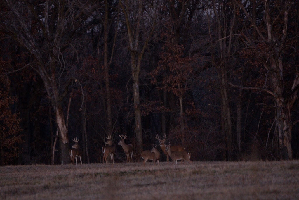 trail camera placement tips
