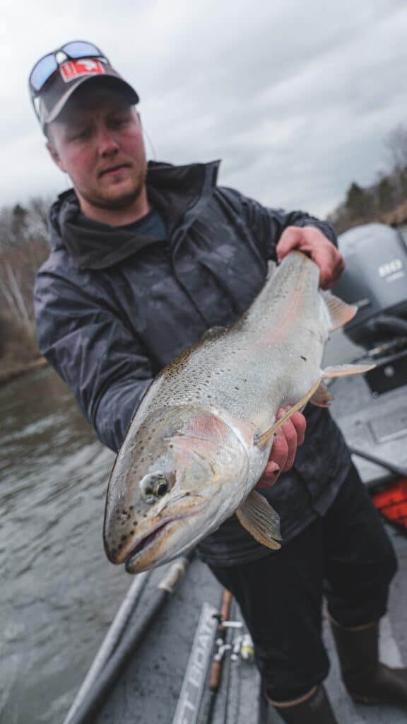 Michigan Steelhead fishing