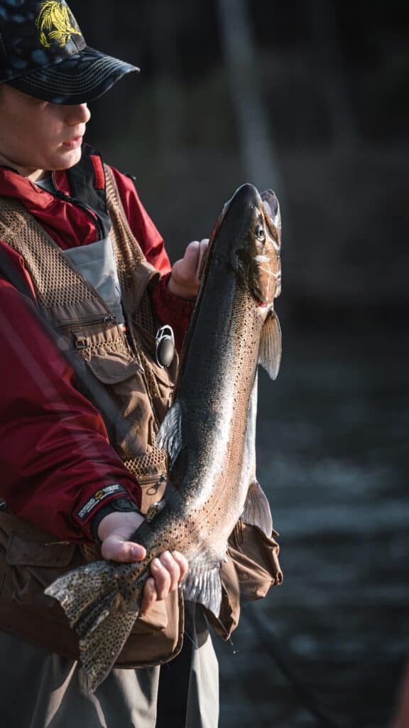 fly fisherman holding a steelhead he just caught in a Michigan river