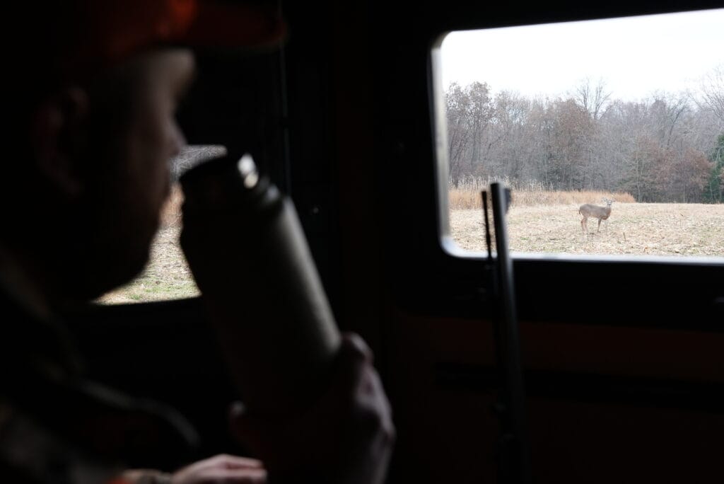 hunter sitting in hunting blind watching a young white tail buck through blind window