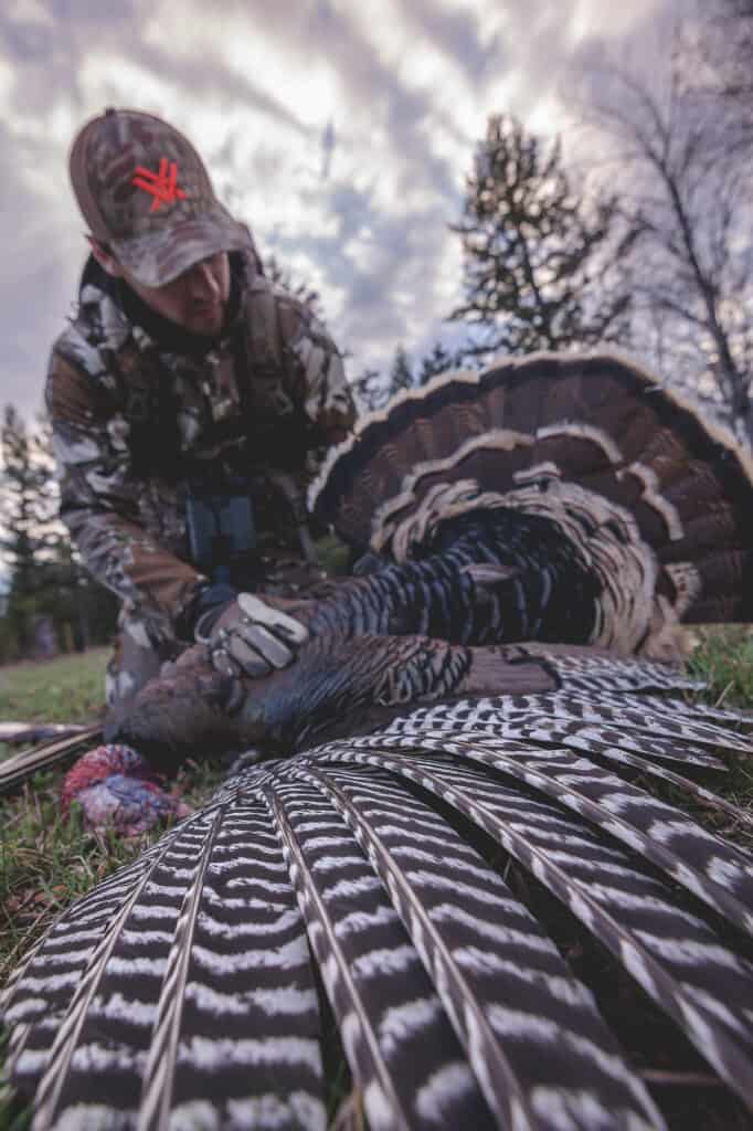 turkey hunting hunter measuring size of turkey beard and fan